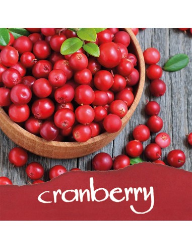 Encrier rouge - encre parfumée cranberry (cerises)
