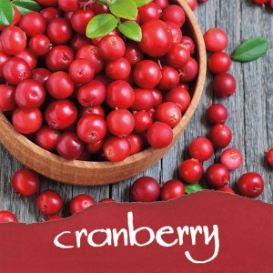 Encrier rouge - encre parfumée cranberry (cerises)
