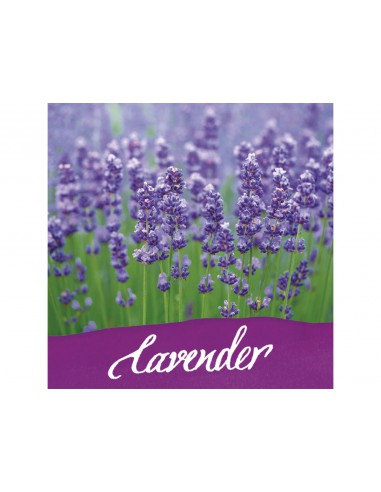 Encrier violet - encre parfumée à la lavande