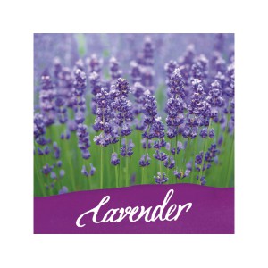 Encrier violet - encre parfumée à la lavande