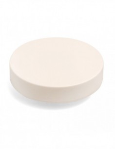 WR Button press cutting insert 2