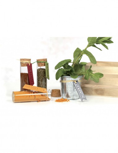 REGLETTE TAMPON ALPHABET POUR PATE POLYMERE, biscuits ou ARGILE