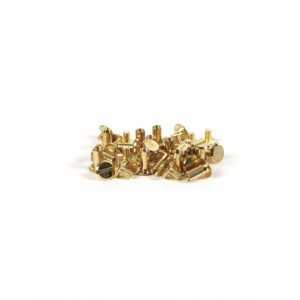20 VIS CHICAGO - ATTACHES POUR CUIR H10mm x Ø9,5 mm