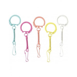 10 PORTE-CLEFS ARC EN CIEL MOUSQUETONS