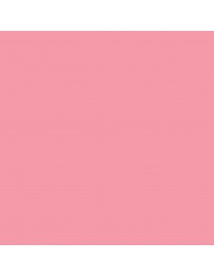 CRICUT- 2 Feuilles TRANSFERT INFUSIBLE INK 30,5X30,5 cm ROSE PALE 2