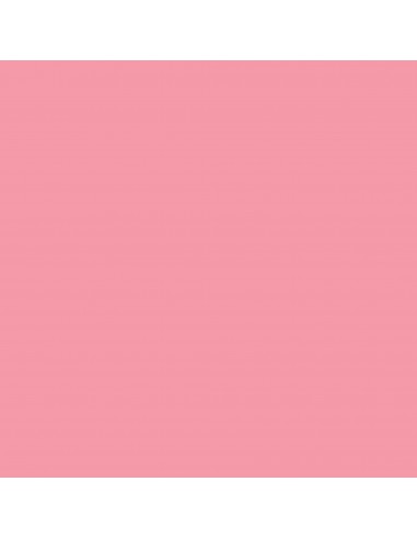 CRICUT- 2 Feuilles TRANSFERT INFUSIBLE INK 30,5X30,5 cm ROSE PALE
