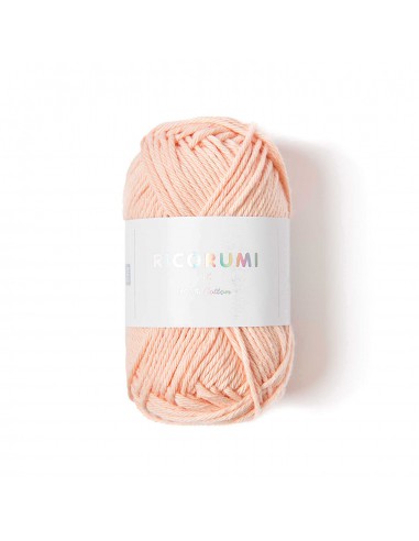 Fil RICORUMI DK 100% coton -  NUDE / 023