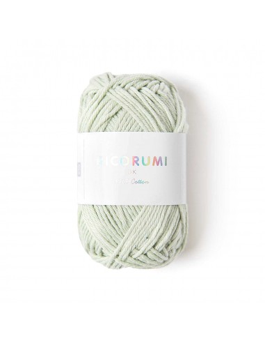 Fil RICORUMI DK 100% coton - MENTHE / 041