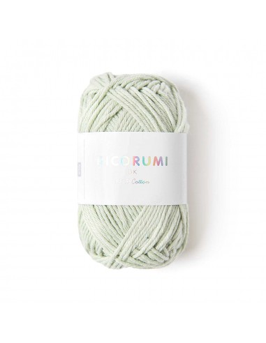 Fil RICORUMI DK 100% coton - MENTHE / 041