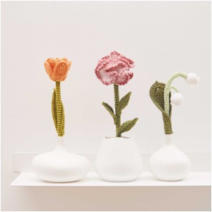 Fil RICORUMI DK 100% coton - ROSEAU / 075
