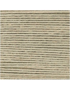 Fil RICORUMI DK 100% coton - ROSEAU / 075 2