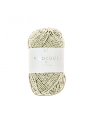 Fil RICORUMI DK 100% coton - ROSEAU / 075