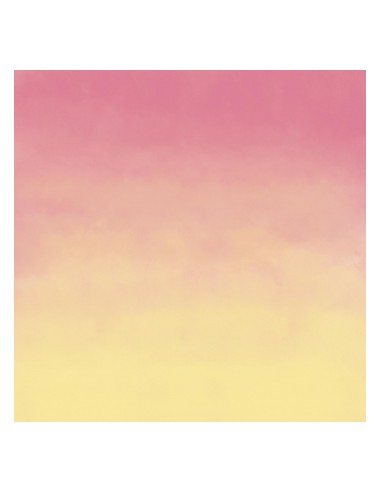 CRICUT - 2 Feuilles TRANSFERT INFUSIBLE INK 30,5X11.4 cm pink limonade