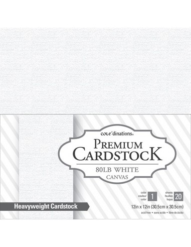 Bloc de 20 feuilles - cardstock, 216g/m2, 30,5x30,5cm - texturé - blanc