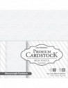Bloc de 20 feuilles - cardstock, 216g/m2, 30,5x30,5cm - texturé - blanc