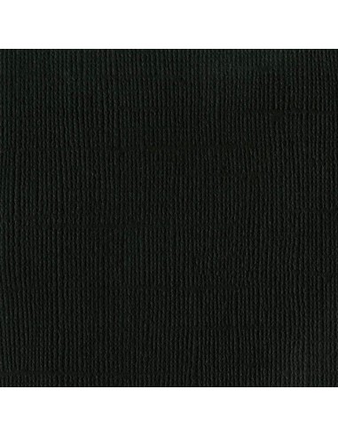 Papier cardstock légèrement texturé, 216g/m2, 30,5x30,5cm  - Raven