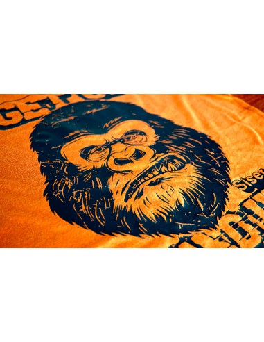 EasyWeed SISER - Flex Thermocollant - Sky blue