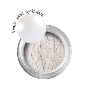 POUDRE EFFET METALLIQUE ARGENT 8g