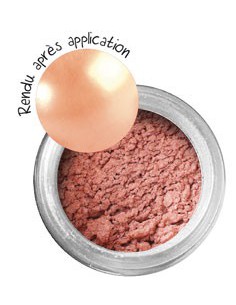 POUDRE EFFET METALLIQUE OPALE 6g 2