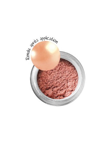 POUDRE EFFET METALLIQUE OPALE 6g