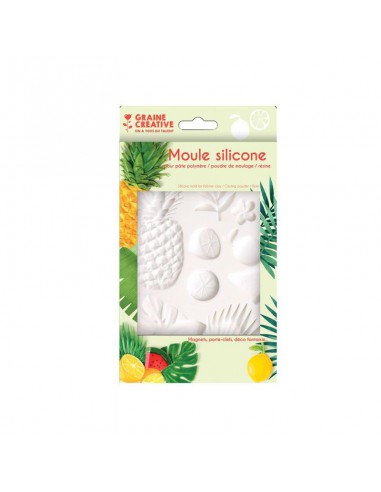 MOULE SILICONE 20X13 CM EXOTIQUE