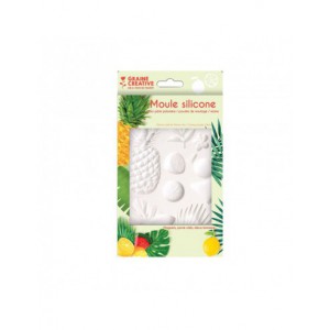 MOULE SILICONE 20X13 CM EXOTIQUE