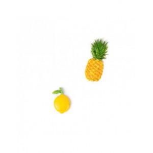 MOULE SILICONE 20X13 CM EXOTIQUE