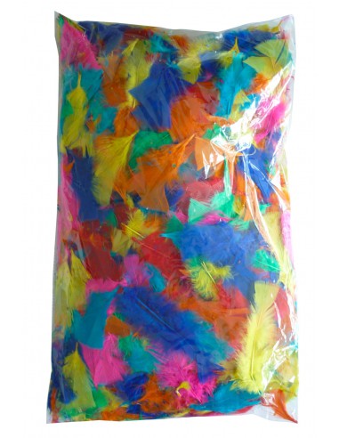 SAC DE 250G DE PLUMES COLLECTIVITE COLORIS ASSORTIS (env. 1500 plumes)
