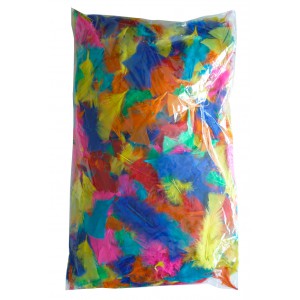 SAC DE 250G DE PLUMES COLLECTIVITE COLORIS ASSORTIS (env. 1500 plumes)