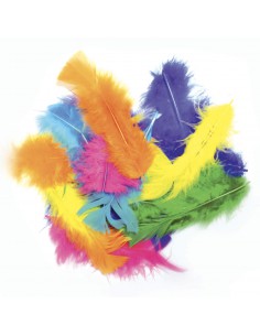 SAC DE 250G DE PLUMES COLLECTIVITE COLORIS ASSORTIS (env. 1500 plumes) 2