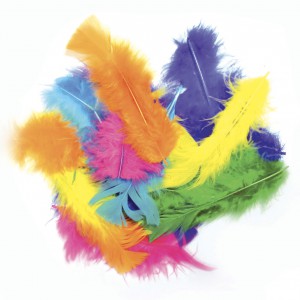 SAC DE 250G DE PLUMES COLLECTIVITE COLORIS ASSORTIS (env. 1500 plumes)