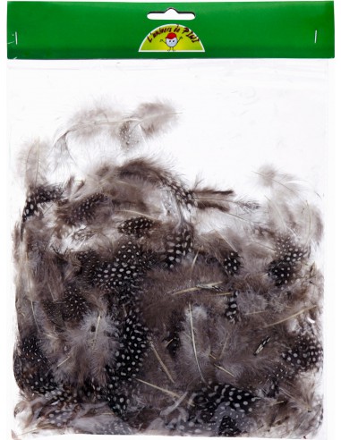 SACHET 1OG PLUMES PINTADE NATUREL