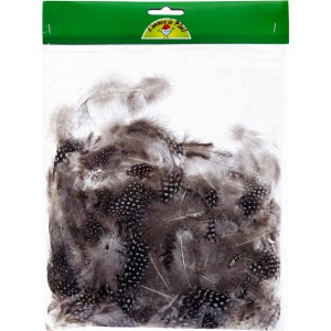 SACHET 1OG PLUMES PINTADE NATUREL