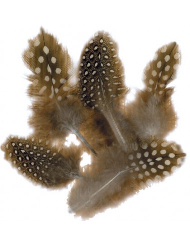 SACHET 1OG PLUMES PINTADE NATUREL