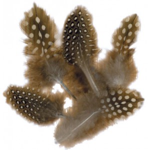 SACHET 1OG PLUMES PINTADE NATUREL