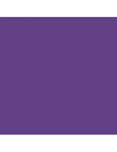 SET DE 4 FEUILLES 'CRICUT' INFUSIBLE INK AVEC MOTIFS ANIMAUX AUX COULEURS VIVES LEOPARD BLEU