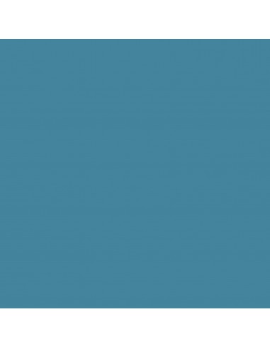 SET DE 4 FEUILLES 'CRICUT' INFUSIBLE INK AVEC MOTIFS ANIMAUX AUX COULEURS VIVES LEOPARD BLEU