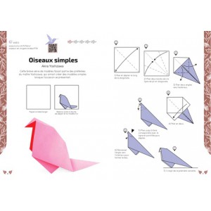 ~ Oiseaux en origami - Nick Robinson - NUINUI