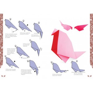 ~ Oiseaux en origami - Nick Robinson - NUINUI