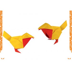 ~ Oiseaux en origami - Nick Robinson - NUINUI