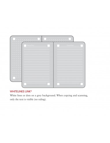 Carnet Medium (A5) Whitelines Link, Couverture Rigide, 249 Pages Numérotées, Noir, Ligné