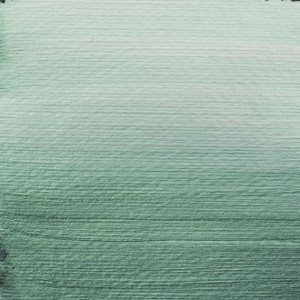 Standard Series Acrylique Tube 20 ml - Vert de Perle 822
