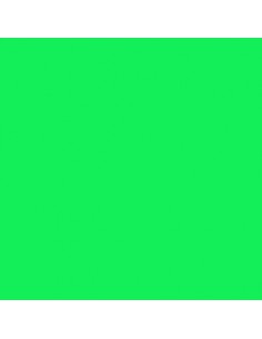 EasyWeed SISER - Flex Thermocollant - FLUORESCENT GREEN