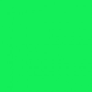 EasyWeed SISER - Flex Thermocollant - FLUORESCENT GREEN