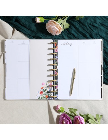 BIG - recharge papier pré-pliées - Moody Blooms