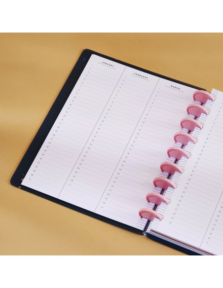 Classic Happy Planner ™ - non daté - Big Ideas , Plans & Notes
