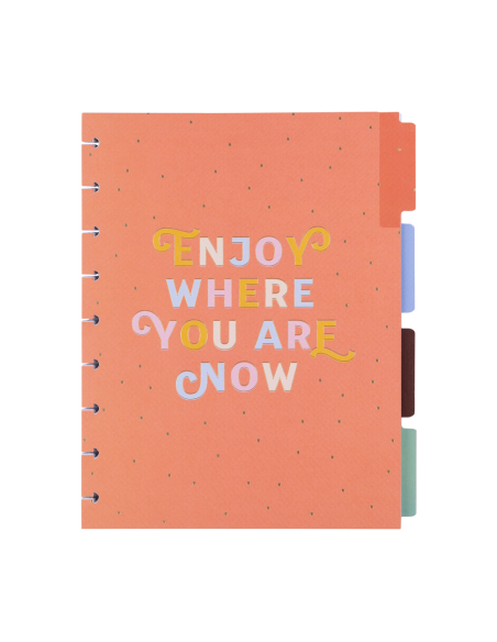 CLASSIC - Extension 4 mois / non daté + STICKERS - Boardwalk Ice Cream