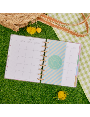 3 enveloppes en plastique - Boardwalk Ice Cream