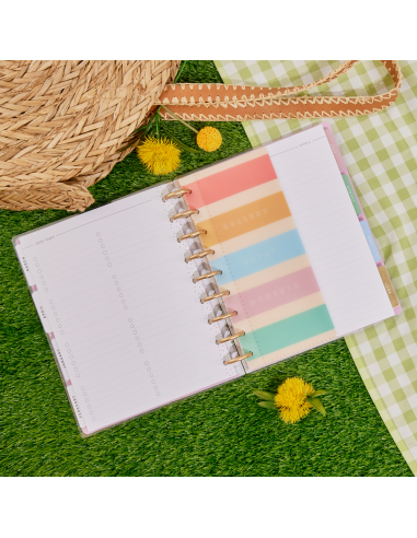 3 enveloppes en plastique - Boardwalk Ice Cream