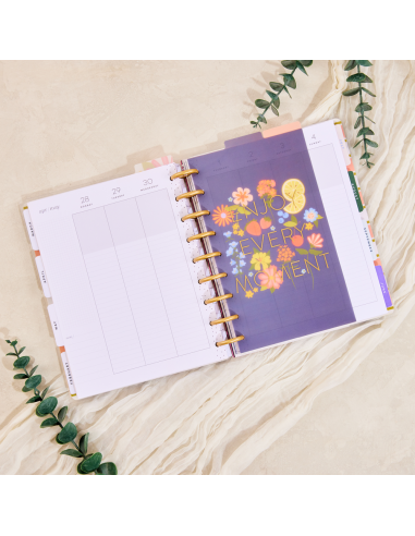 CLASSIC - 3 intercalaires en plastique - Spring Market